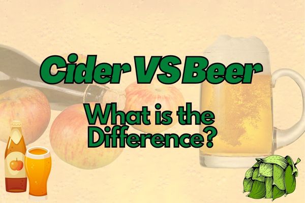 Cider VS Beer: Everything You Need To Know!