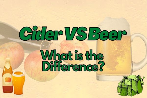 Cider Vs Beer Everything You Need To Know 4836