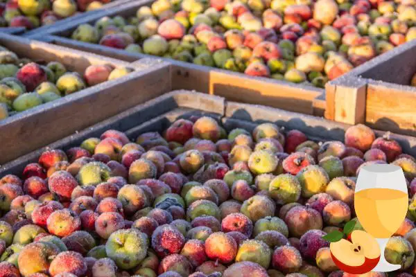 Can You Make Cider From Frozen Apples?