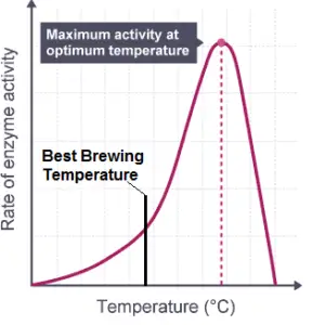 Cider Fermentation Temperature Explained! (What Is Best ...