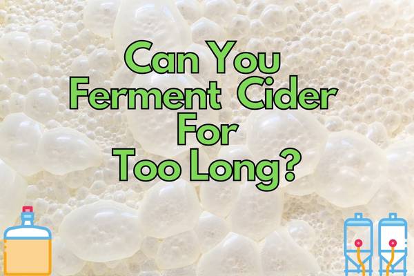 Can You Let Cider Ferment Too Long? (Explained!)