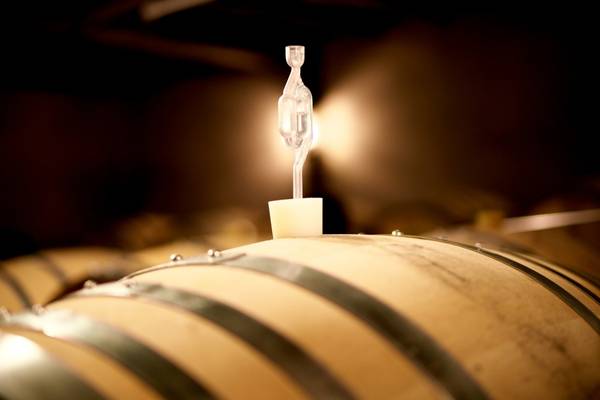 cider fermenting in barrels.