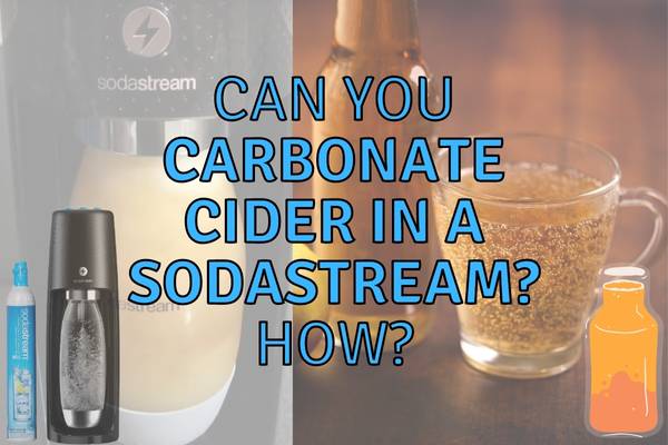 Can You Carbonate Cider With a SodaStream? (Here Is How!)