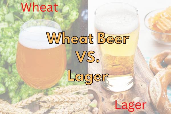 Wheat Beer vs Lagers: Their Differences Explained!