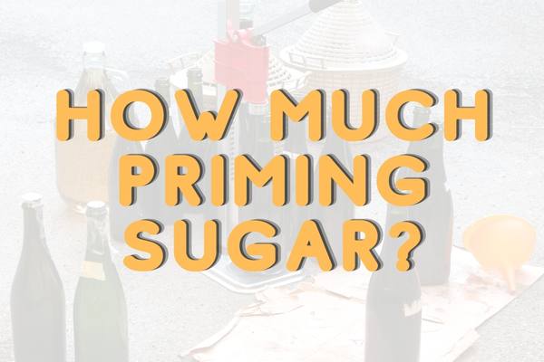 How much priming sugar per 22 oz bottle?