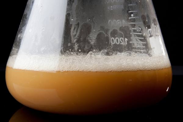 Diacetyl Rest in Beer Brewing – Explained!