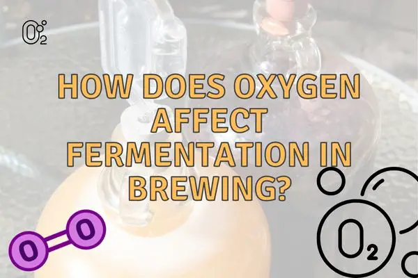 How does oxygen affect fermentation in brewing
