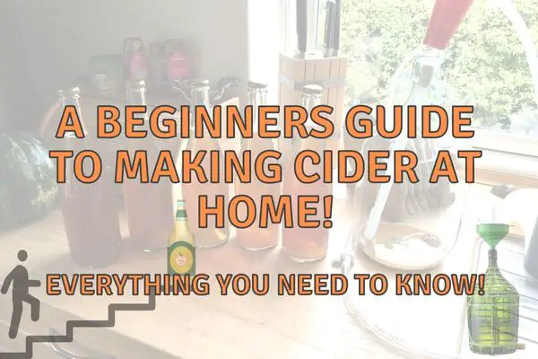 A Beginners Guide to Cider Brewing at Home! (All you need to know!)