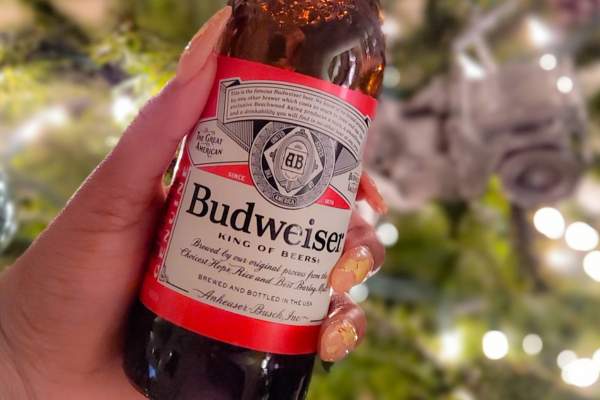 What Beers Are Similar to Budweiser?