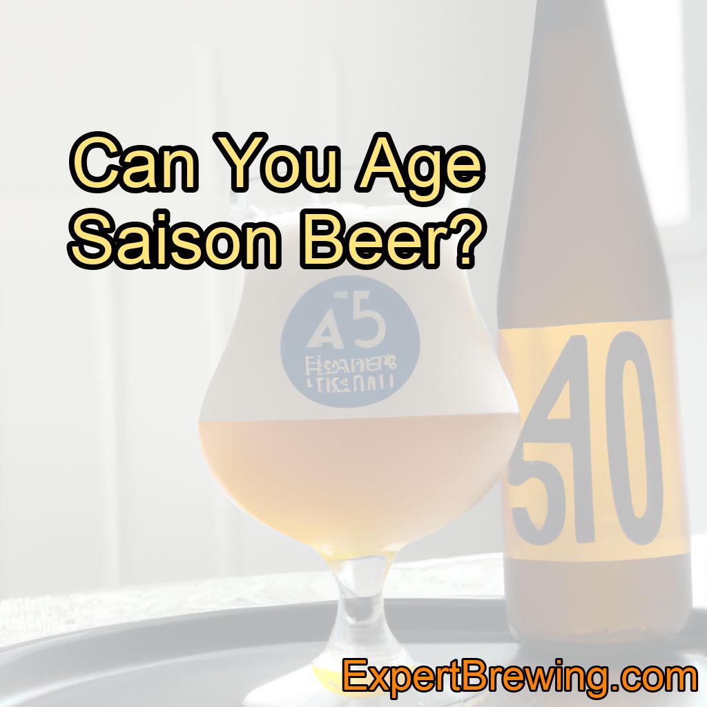 Can You Age Saison Beers?