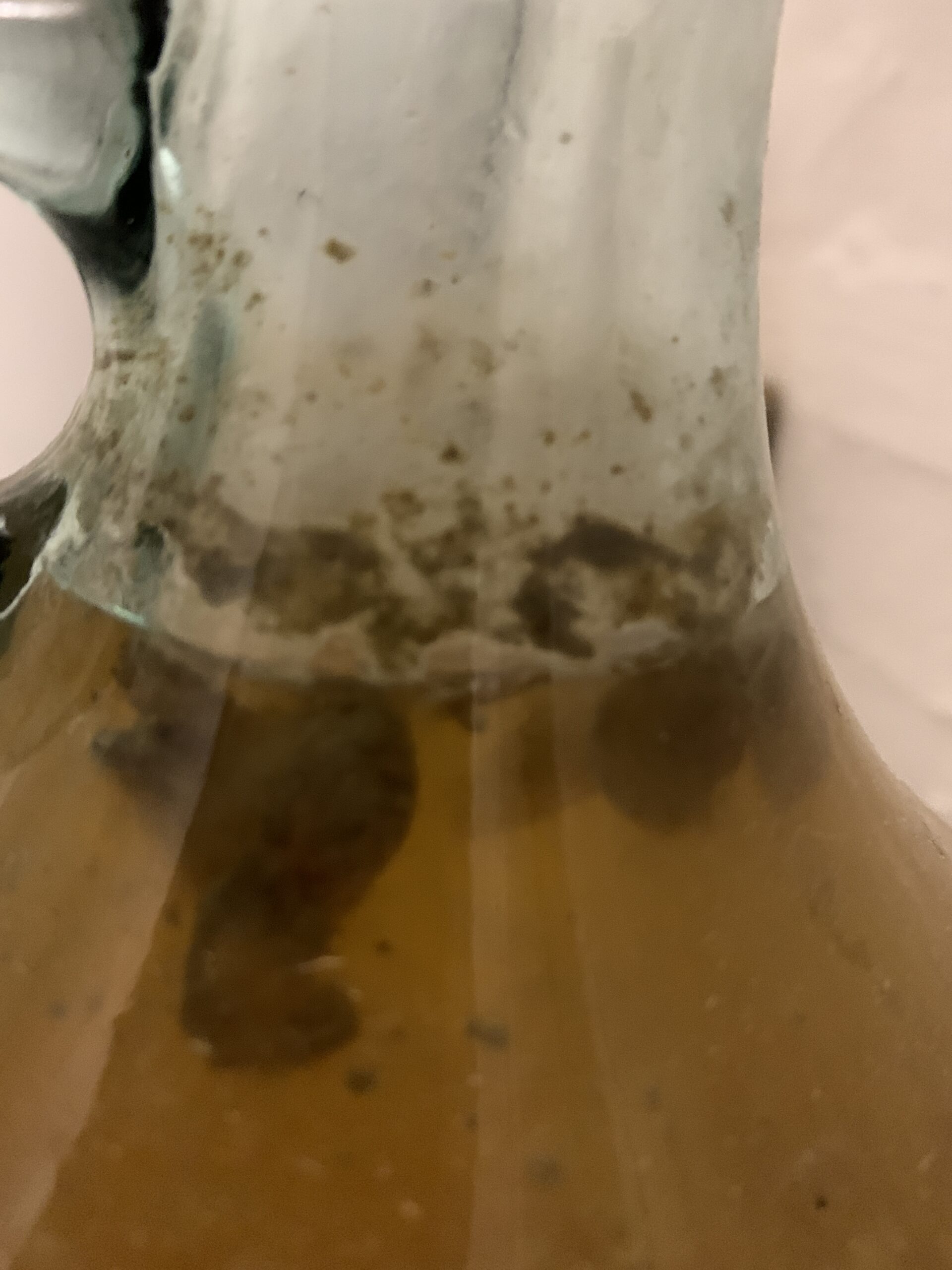 Does Hard Cider Go Bad Unopened?