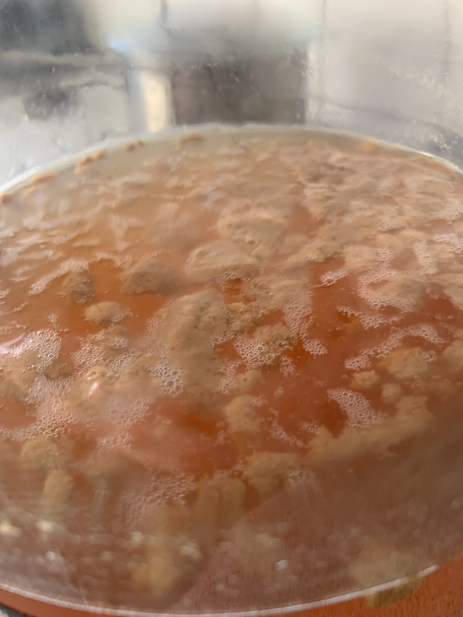 what-happens-when-you-mix-yeast-sugar-and-water-expertbrewing