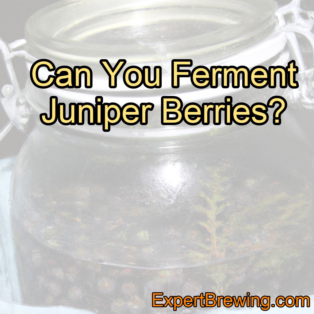 Can You Ferment Juniper Berries?