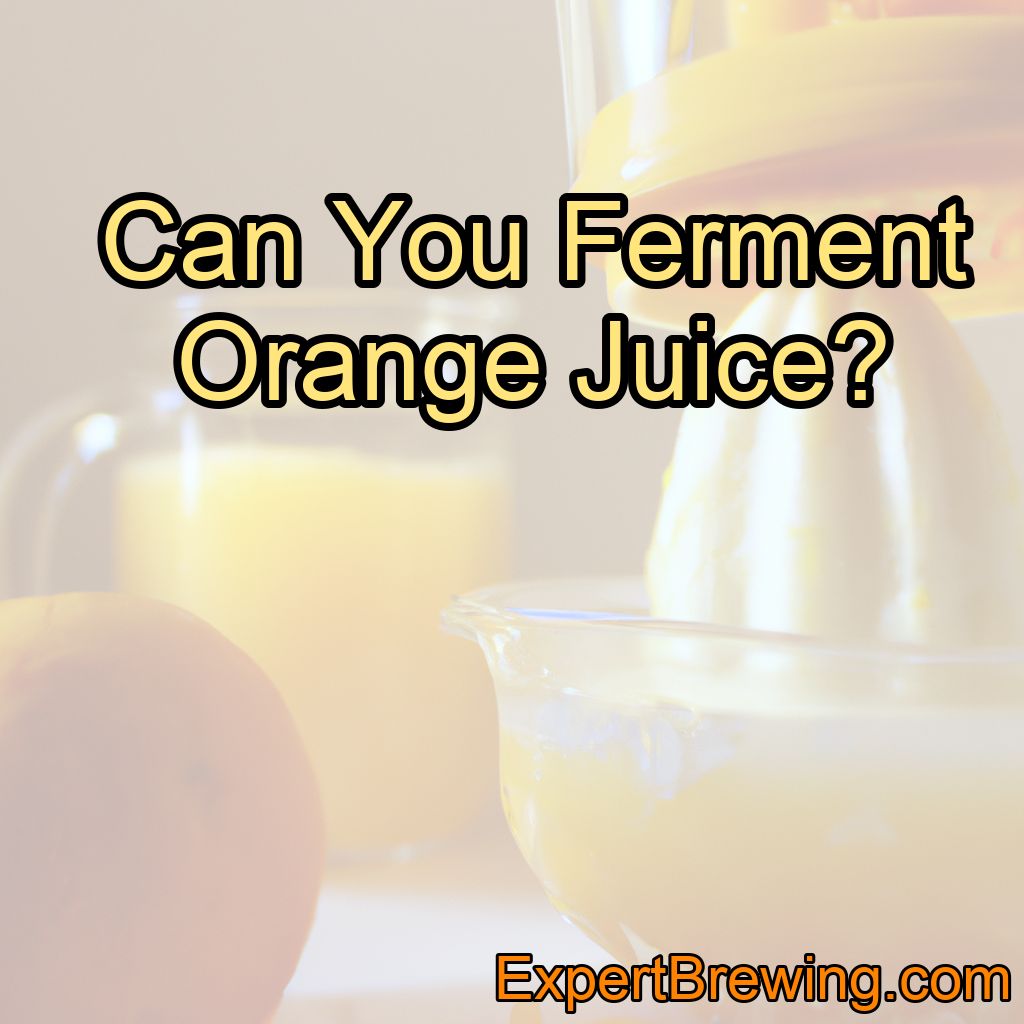 Can You Ferment Orange Juice?