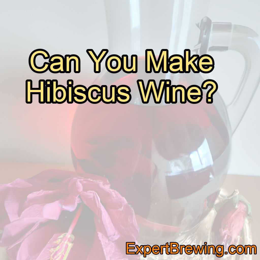 Can You Make Hibiscus Wine?