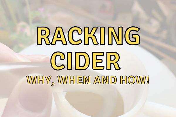 How To Rack Cider?
