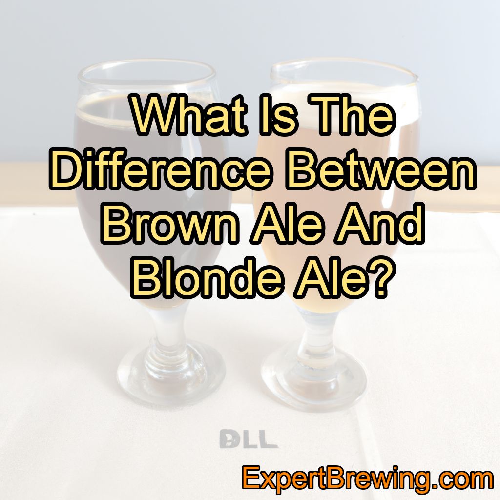 Ale Vs. Blonde Ale – What Is The Difference?