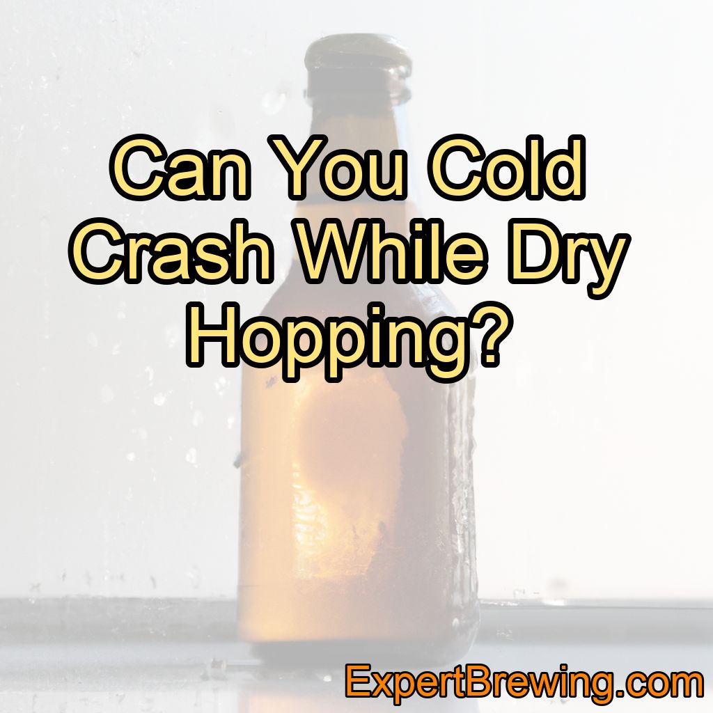 Can You Cold Crash While Dry Hopping?