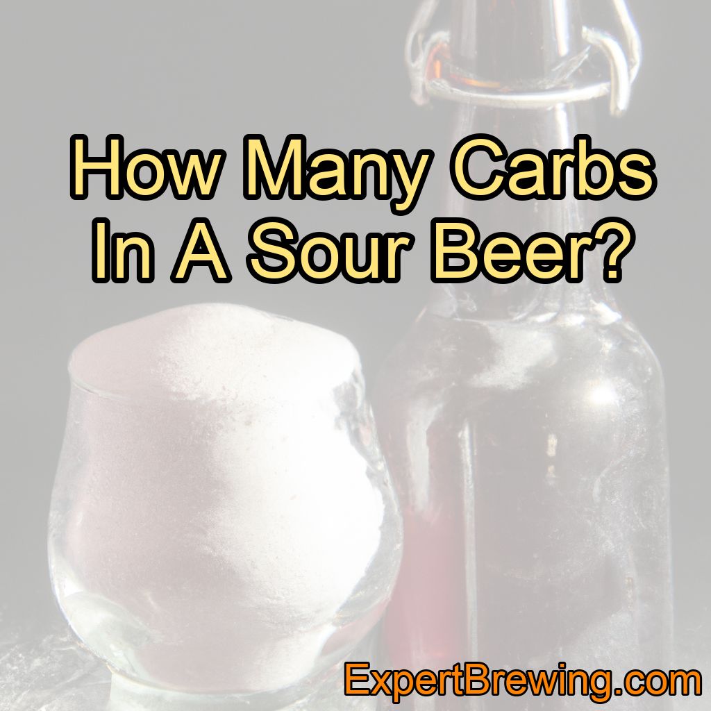 How Many Carbs In A Sour Beer?