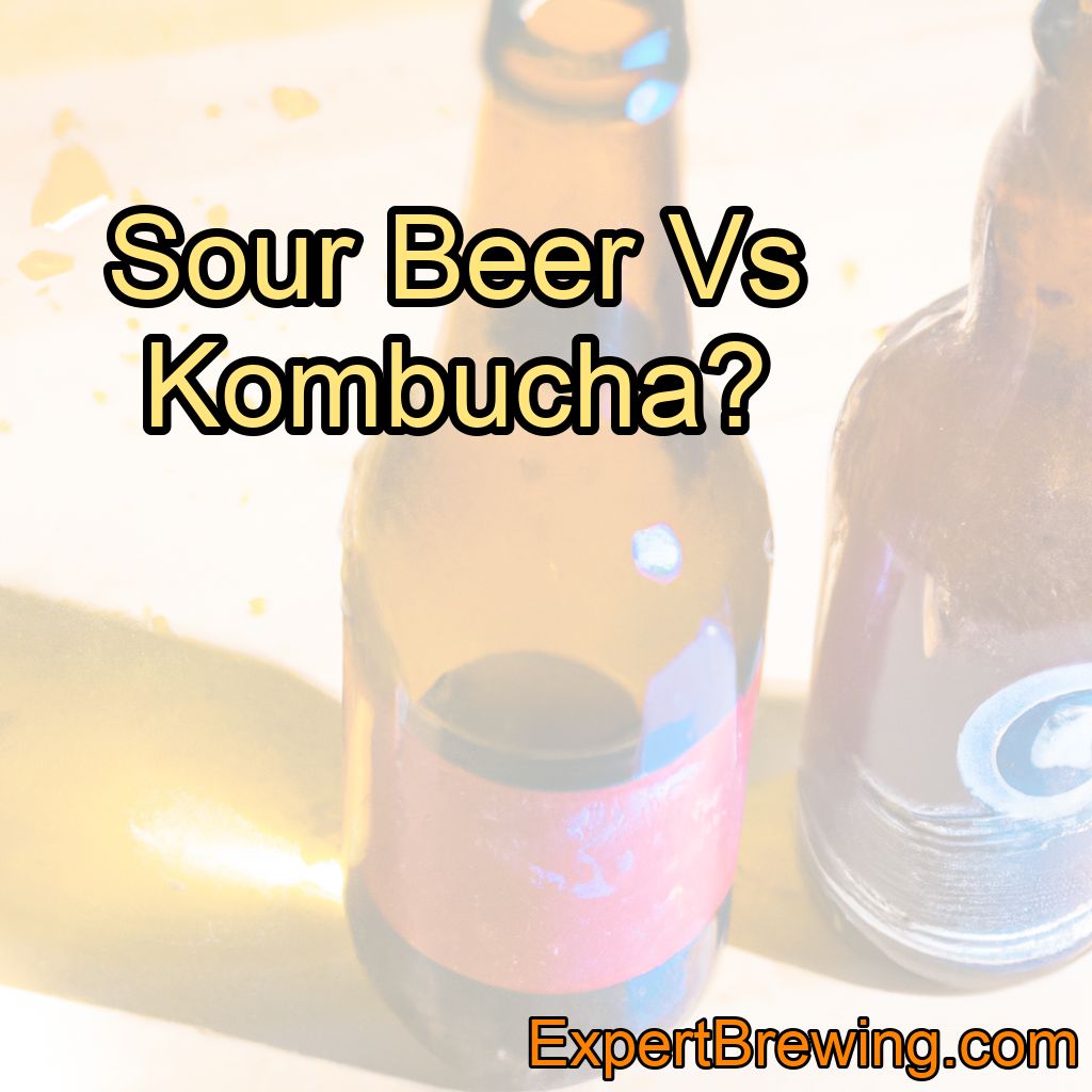 Sour Beer Vs Kombucha?