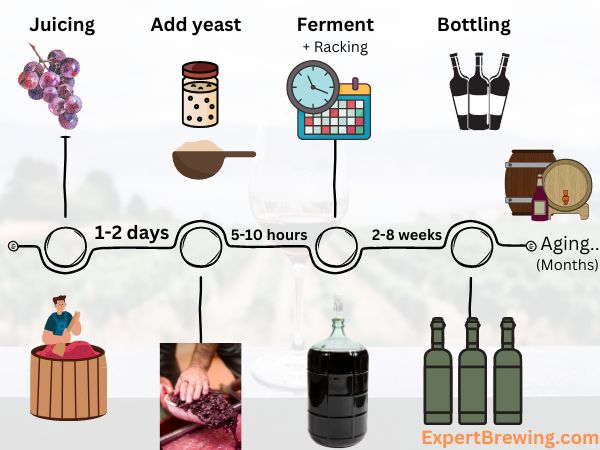 showing the wine making process with time estimates for each step.