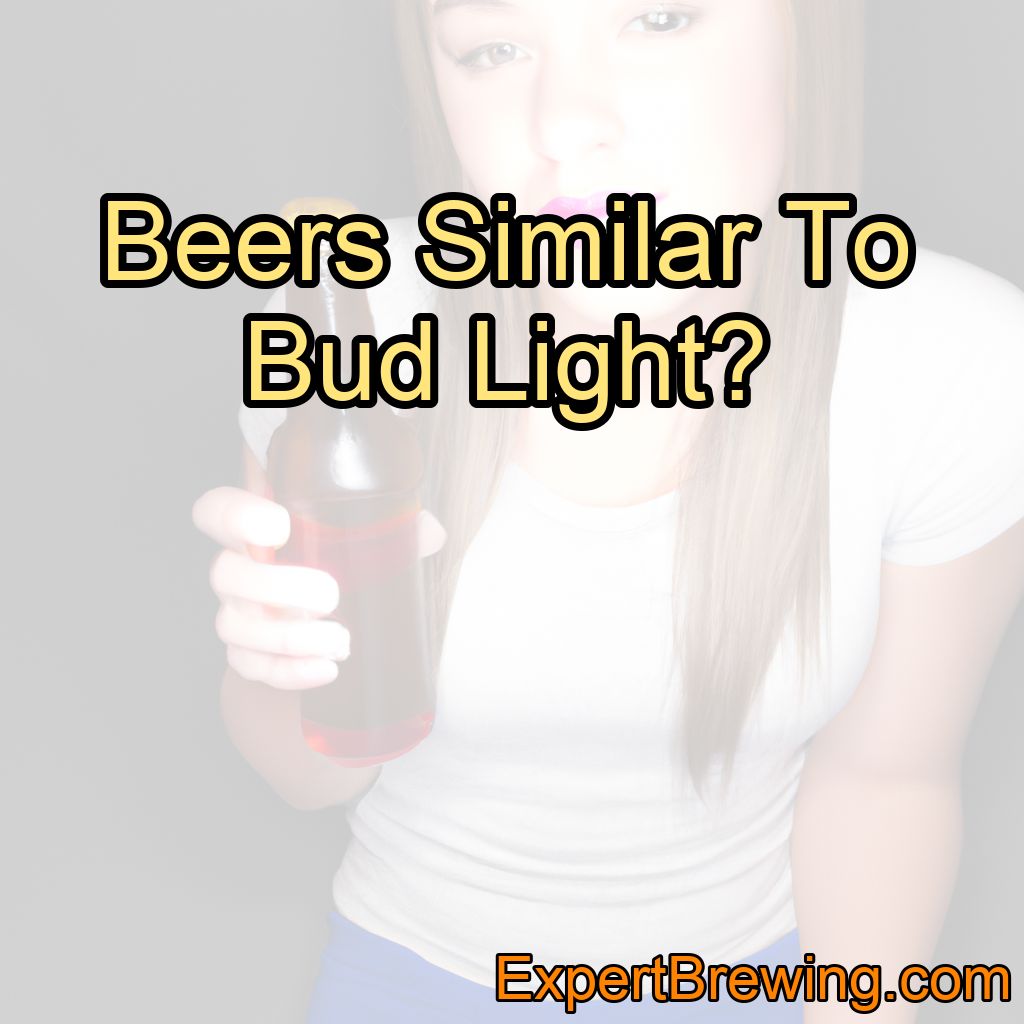 5 Beers Similar To Bud Light (Best Bud Light Alternatives!)