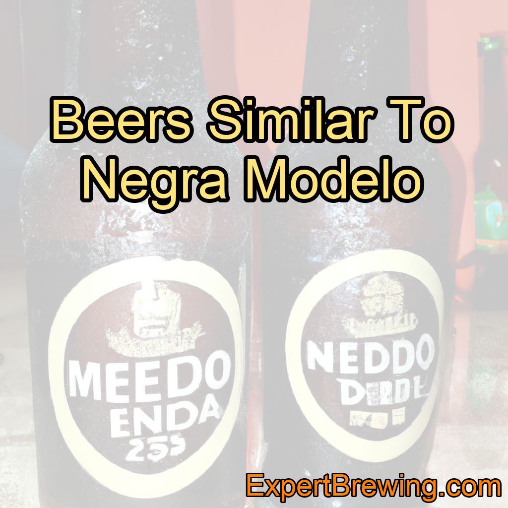 5 Beers Similar To Negra Modelo