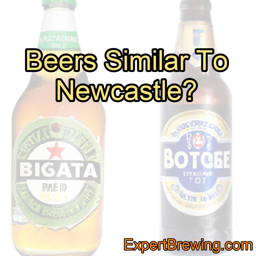 Beers Similar To Newcastle?