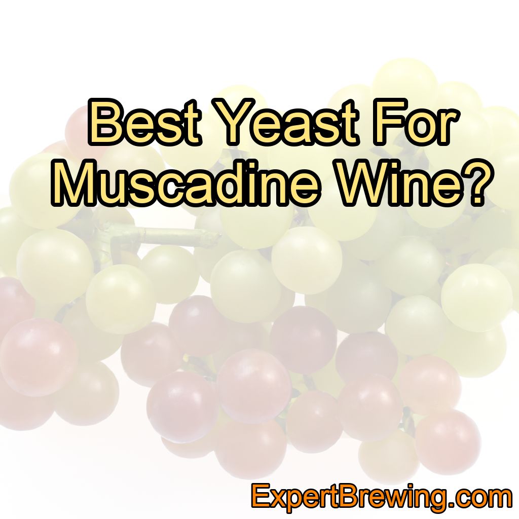 Best Yeast For Muscadine Wine?