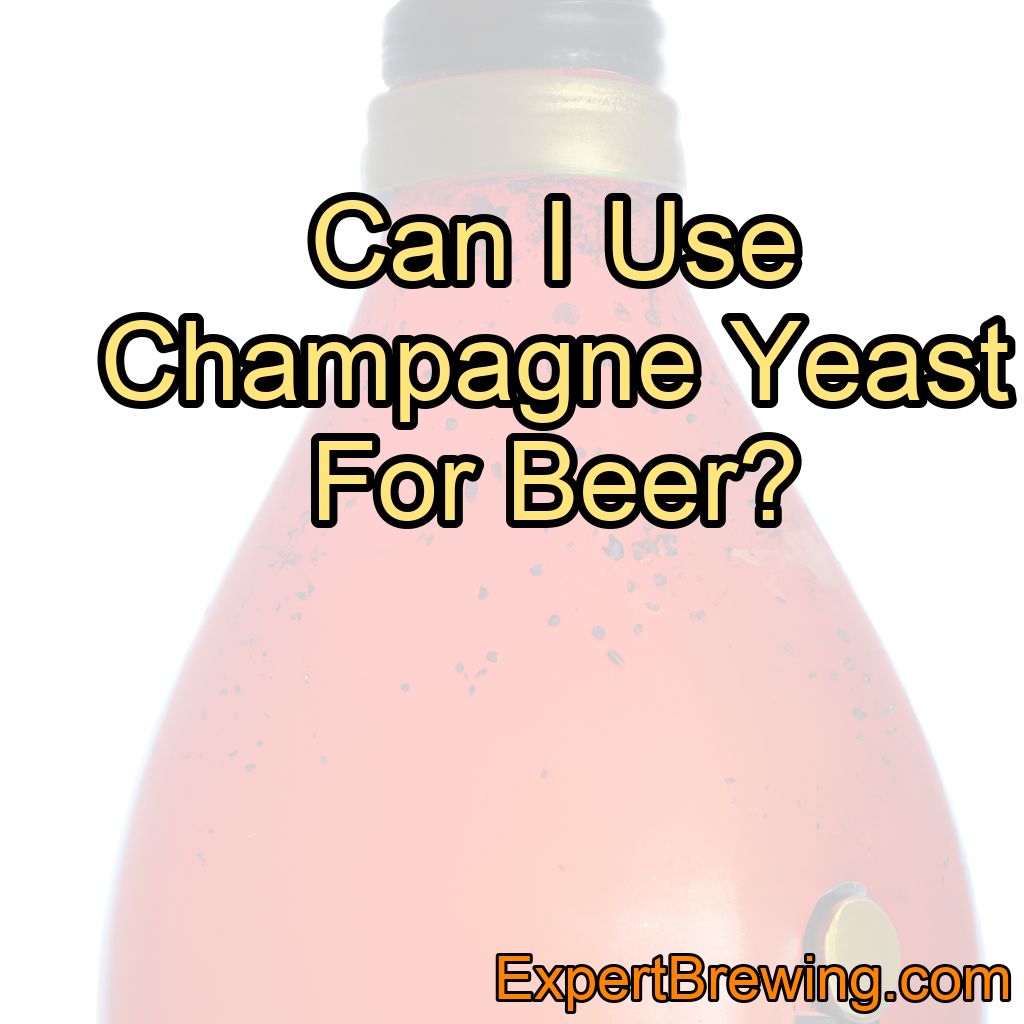 Can I Use Champagne Yeast For Beer?