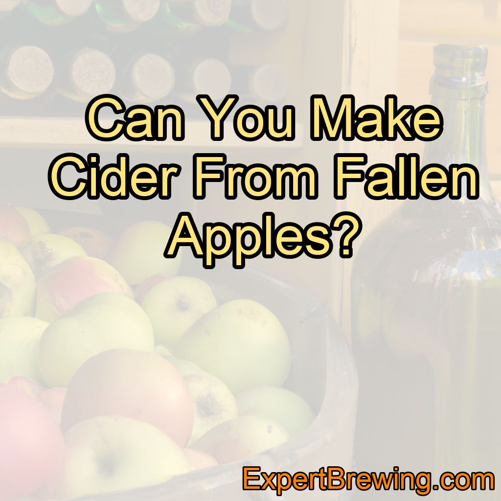 Can You Make Cider From Fallen Apples?