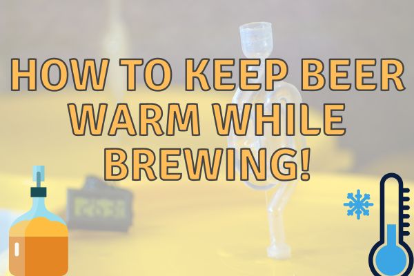 Keeping Beer Warm While Brewing – Here’s How!