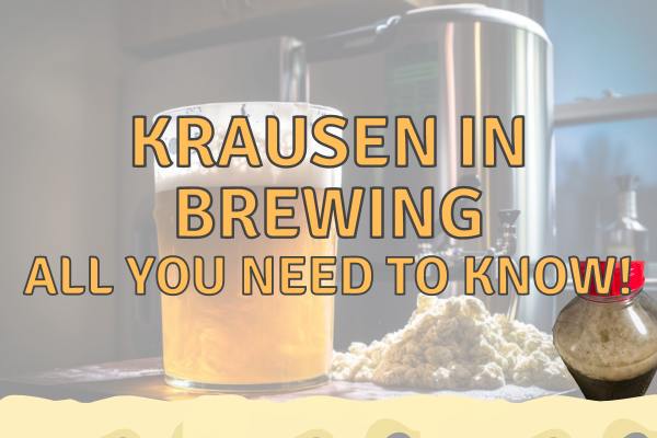 Krausen In Beer Brewing – All You Need To Know!