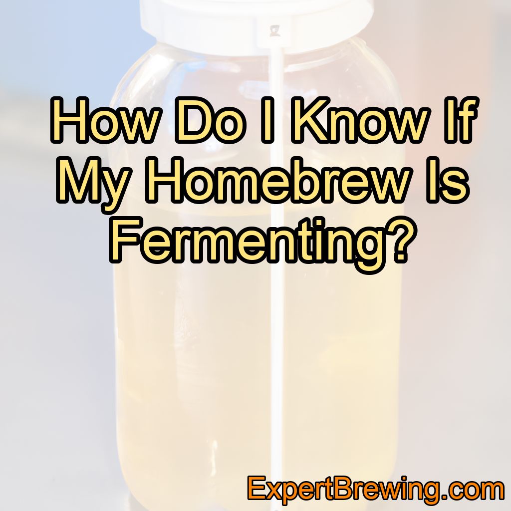 How Do I Know If My Homebrew Is Fermenting?