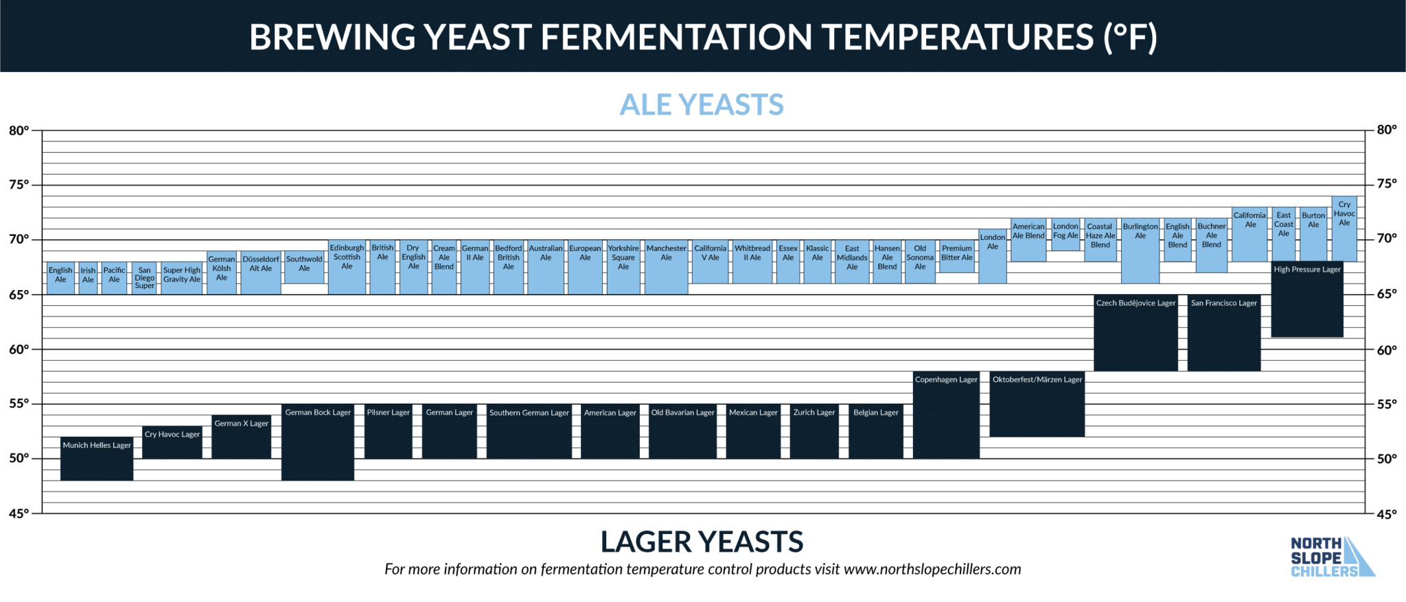 Top Fermented Beer Vs Bottom Fermented Beer Explained!