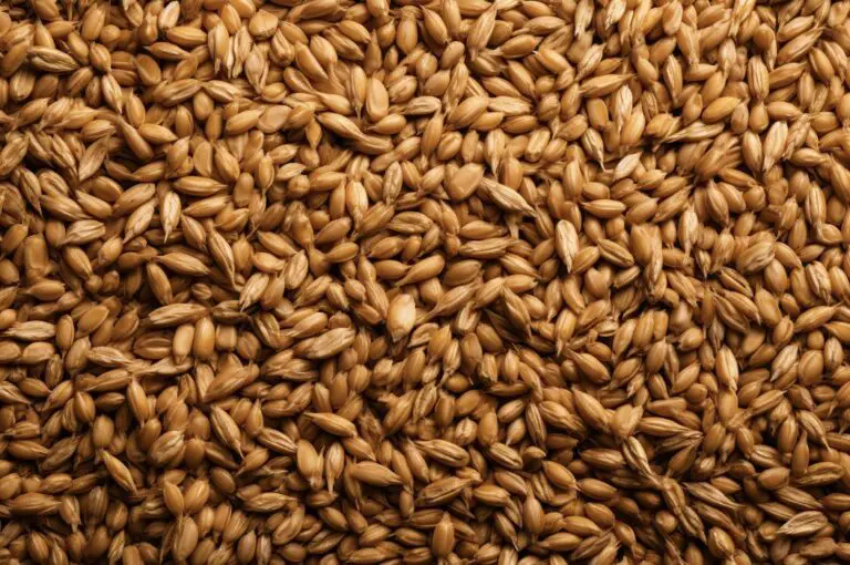 Which Beer Has The Least Sodium? (Low Sodium Beers Explained