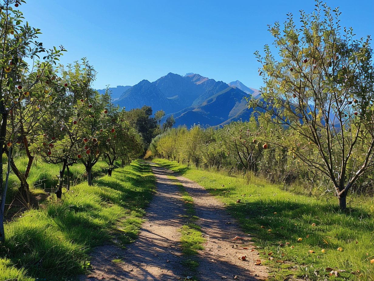 What are the best cider tasting hikes in the world?